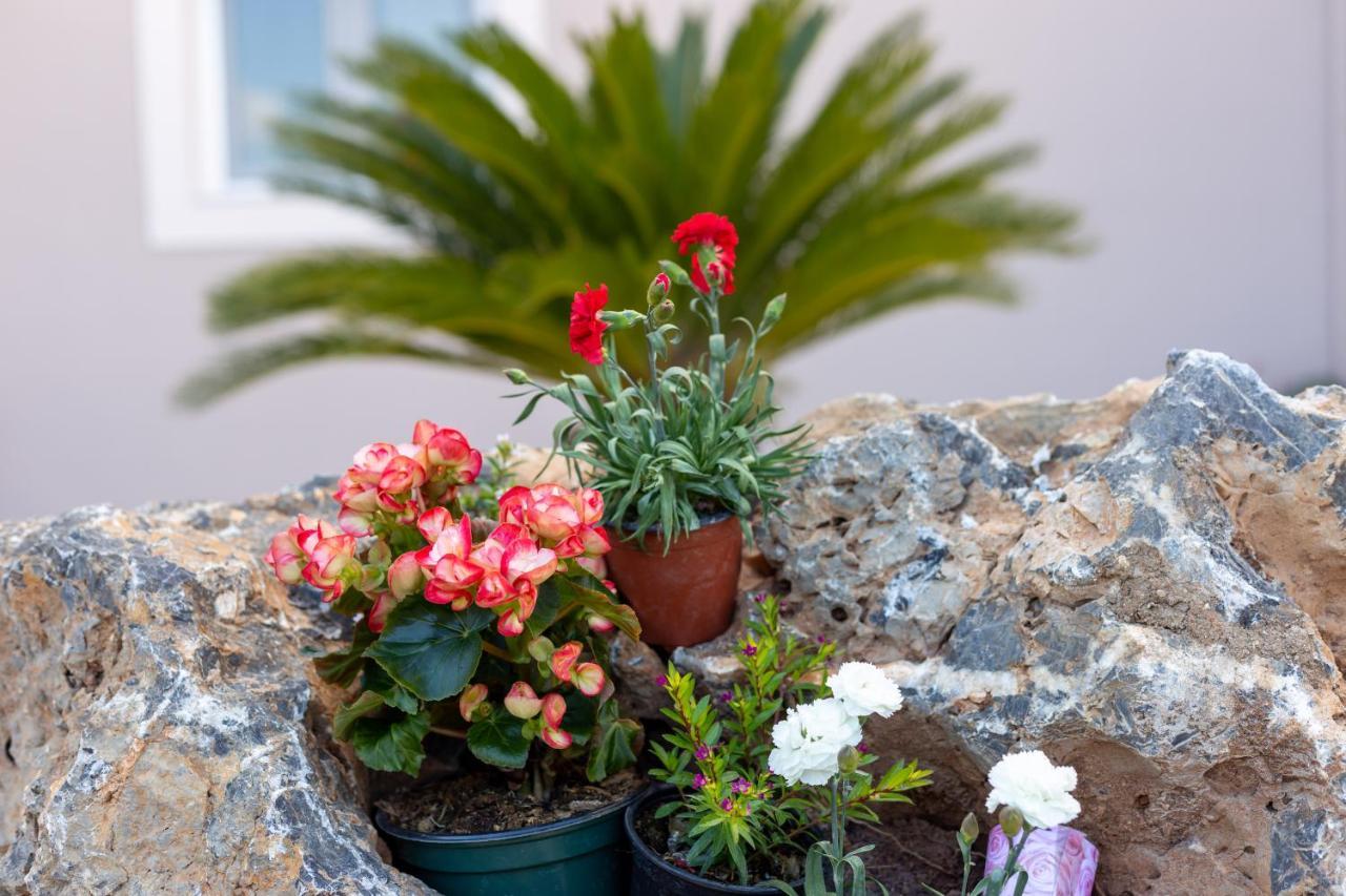 Nightingale Villa & Suites Corfu Gazátika 外观 照片